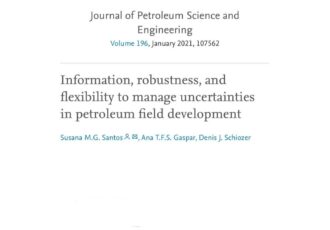 Information, robustness, and flexibility to manage uncertainties in petroleum field development